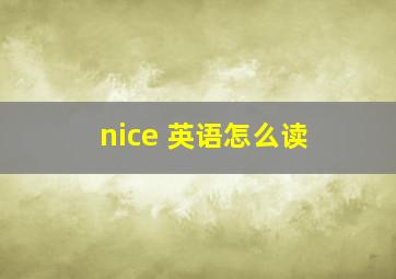 nice 英语怎么读